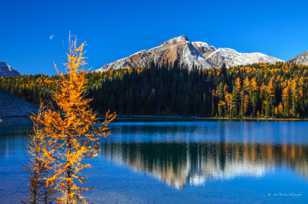 Nestor Peak above Sunburst Lake-1267